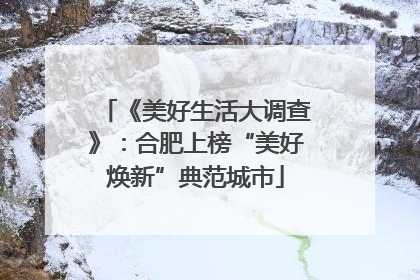 《美好生活大调查》：合肥上榜“美好焕新”典范城市
