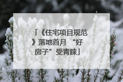 《住宅项目规范》落地首月 “好房子”受青睐