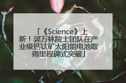 《Science》上新！郭万林院士团队在产业级钙钛矿太阳能电池取得里程碑式突破