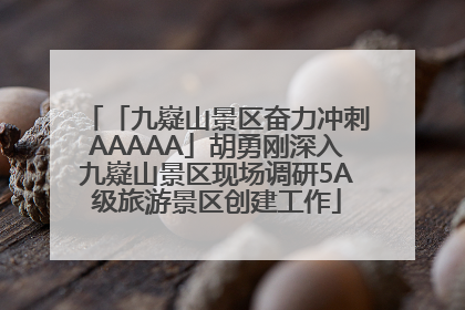 「九嶷山景区奋力冲刺AAAAA」胡勇刚深入九嶷山景区现场调研5A级旅游景区创建工作