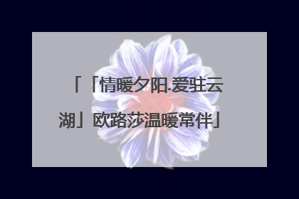 「情暖夕阳.爱驻云湖」欧路莎温暖常伴