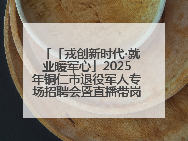 「戎创新时代·就业暖军心」2025年铜仁市退役军人专场招聘会暨直播带岗活动顺利举行