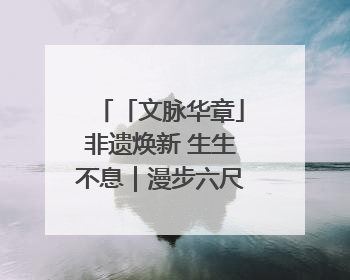 「文脉华章」非遗焕新 生生不息｜漫步六尺巷 感受礼让文化浸润的“巷”往生活