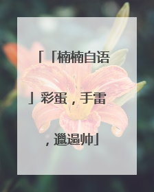 「楠楠自语」彩蛋，手雷，邋遢帅