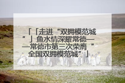 「走进“双拥模范城”」鱼水情深耀常德——常德市第三次荣膺“全国双拥模范城”