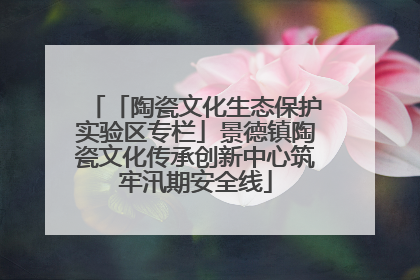 「陶瓷文化生态保护实验区专栏」景德镇陶瓷文化传承创新中心筑牢汛期安全线