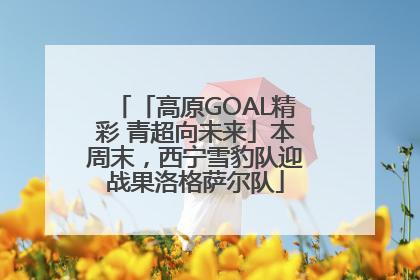 「高原GOAL精彩 青超向未来」本周末，西宁雪豹队迎战果洛格萨尔队