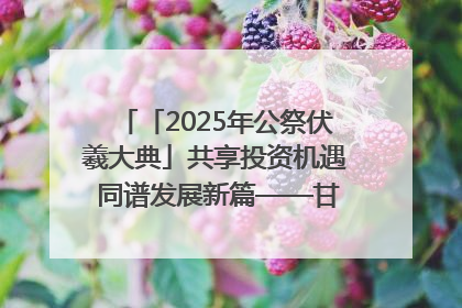「2025年公祭伏羲大典」共享投资机遇 同谱发展新篇——甘肃省文旅产业链招商引资推介会侧记