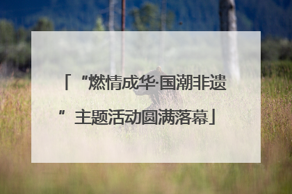 “燃情成华·国潮非遗”主题活动圆满落幕