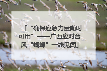 “确保应急力量随时可用”——广西应对台风“蝴蝶”一线见闻