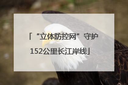 “立体防控网”守护152公里长江岸线