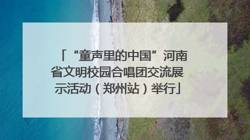 “童声里的中国”河南省文明校园合唱团交流展示活动（郑州站）举行