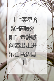 “笑星齐聚•情暖夕阳”老龄慰问演出走进乐山马边县