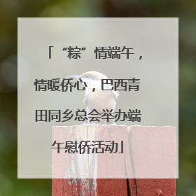 “粽”情端午，情暖侨心，巴西青田同乡总会举办端午慰侨活动