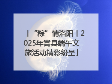 “粽”情洛阳丨2025年嵩县端午文旅活动精彩纷呈