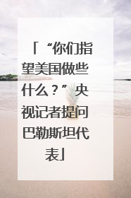 “你们指望美国做些什么？”央视记者提问巴勒斯坦代表
