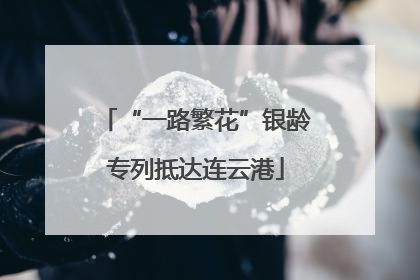 “一路繁花”银龄专列抵达连云港
