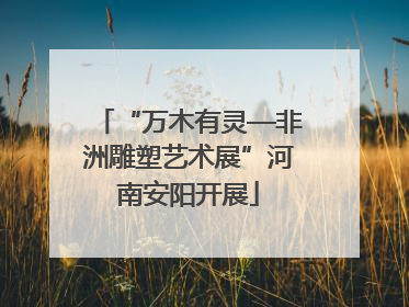 “万木有灵—非洲雕塑艺术展”河南安阳开展