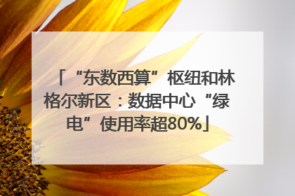 “东数西算”枢纽和林格尔新区：数据中心“绿电”使用率超80%