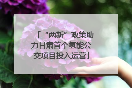 “两新”政策助力甘肃首个氢能公交项目投入运营