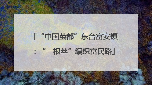 “中国茧都”东台富安镇：“一根丝”编织富民路