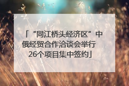 “同江桥头经济区”中俄经贸合作洽谈会举行 26个项目集中签约