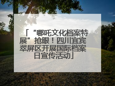 “哪吒文化档案特展”抢眼！四川宜宾翠屏区开展国际档案日宣传活动