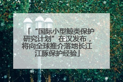 “国际小型鲸类保护研究计划”在汉发布，将向全球推介落地长江江豚保护经验