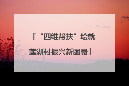 “四维帮扶”绘就莲湖村振兴新图景