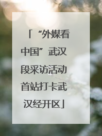 “外媒看中国”武汉段采访活动首站打卡武汉经开区