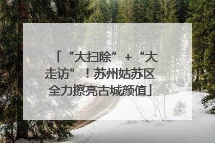 “大扫除”+“大走访”！苏州姑苏区全力擦亮古城颜值