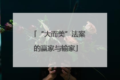 “大而美”法案的赢家与输家