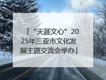 “天涯文心”2025年三亚市文化发展主题交流会举办