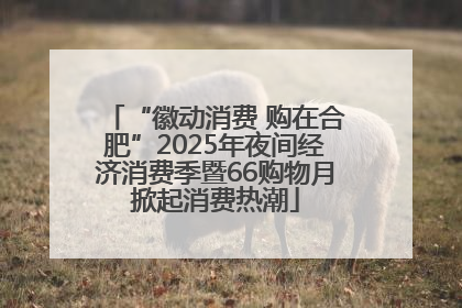 “徽动消费 购在合肥”2025年夜间经济消费季暨66购物月掀起消费热潮