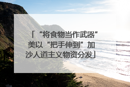 “将食物当作武器” 美以“把手伸到”加沙人道主义物资分发