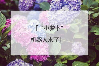“小萝卜”机器人来了