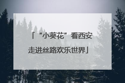 “小葵花”看西安走进丝路欢乐世界