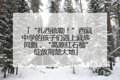 “扎西德勒！”西藏中学的孩子们遇上藏族同胞，“高原红石榴”绽放荆楚大地