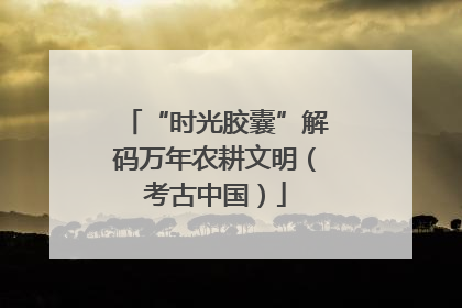 “时光胶囊”解码万年农耕文明（考古中国）