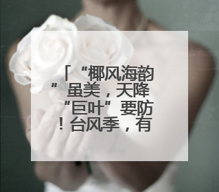 “椰风海韵”虽美，天降“巨叶”要防！台风季，有关部门提醒→
