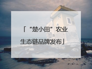 “楚小田”农业生态链品牌发布