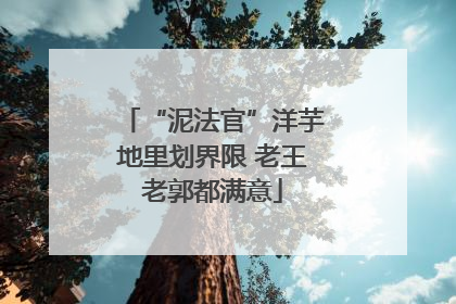 “泥法官”洋芋地里划界限 老王老郭都满意