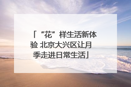 “花”样生活新体验 北京大兴区让月季走进日常生活