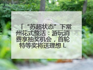 “苏超状态”下常州花式整活：游玩消费享抽奖机会，首轮特等奖将送理想 L6 Pro