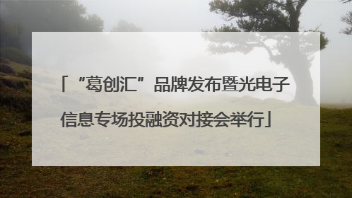 “葛创汇”品牌发布暨光电子信息专场投融资对接会举行