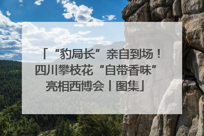 “豹局长”亲自到场！四川攀枝花“自带香味”亮相西博会丨图集