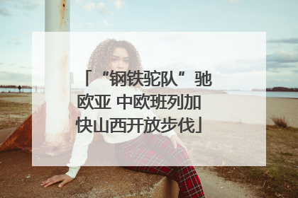 “钢铁驼队”驰欧亚 中欧班列加快山西开放步伐