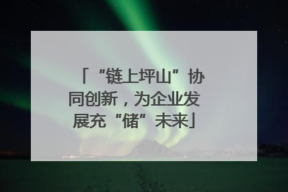 “链上坪山”协同创新，为企业发展充“储”未来