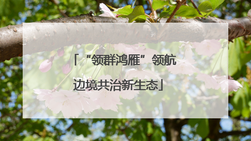 “领群鸿雁”领航边境共治新生态