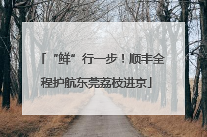 “鲜”行一步！顺丰全程护航东莞荔枝进京